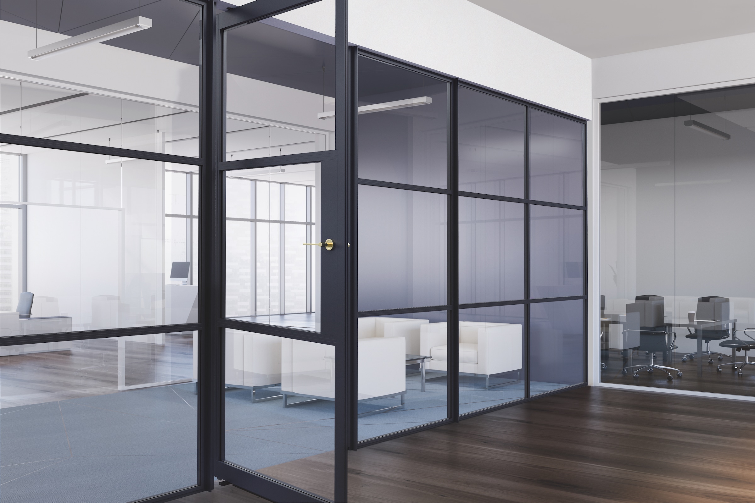 Smart Systems Aluspace in an office setting, trade supply steel-look door and screens