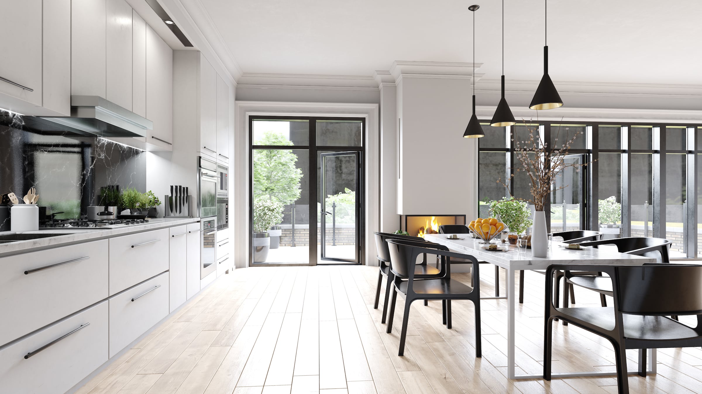 Schüco residential doors in a kitchen remodel